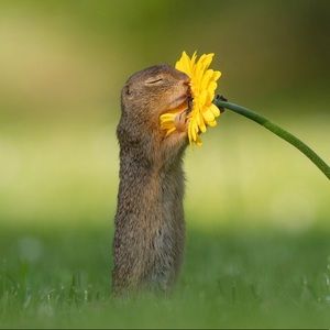 Meet your Posher, Donna